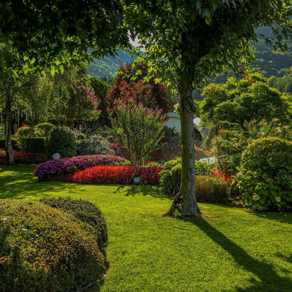 Reliable emergency landscaping and irrigation solutions in Newport Beach for coastal residential and commercial properties