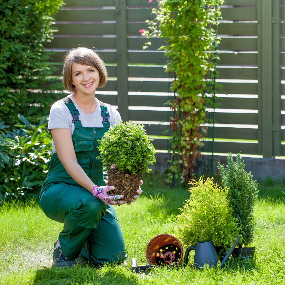 Same day landscaping services in Newport Beach providing fast and professional landscape design, installation, and outdoor improvement solutions